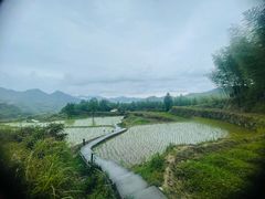 -泽雅景区