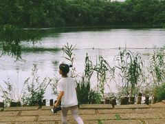 -杭州观成实验学校