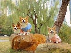 -西北湖绿化广场