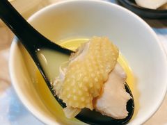 -鲜入围煮花胶鸡海鲜火锅