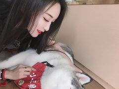 -Husky Go! 哈士奇体验馆·宠物咖啡厅狗咖