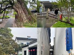 -苏州太湖西山岛开心农场