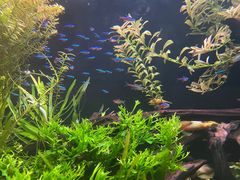 -上海海洋水族馆