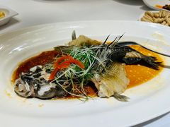 -宝燕壹号(徐汇店)