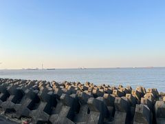 -上海滨江森林公园