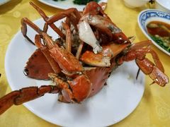 -莲花公园煎蟹(总店)