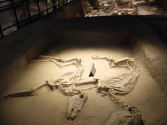 -洛阳周王城天子驾六博物馆