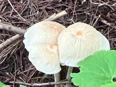-东天目山风景区