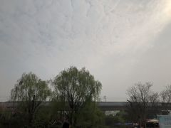 -秀丽东方
