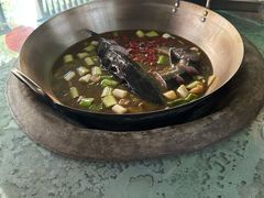 -姥家大锅台水库渔家