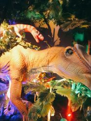 点击看大图 -恐龙探索乐园(磁器口店)