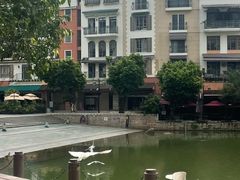 -舞鹤日本料理铁板烧(华侨城店)