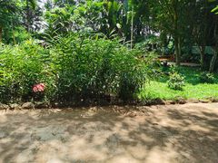 -海南热带野生动植物园