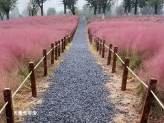 -汉长安城未央宫国家考古遗址公园