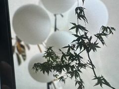 -涟LIAN·泰式按摩·MASSAGE·SPA(深业上城店)