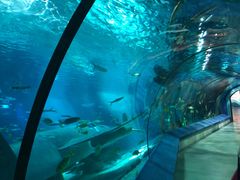 -福州罗源湾海洋世界旅游区