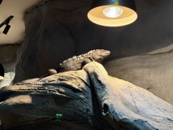 -Zoolung Zoolung动物主题公园(海信广场店)