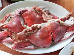 -胖大嫂渔家排档·全海景餐厅(渔村店)