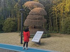 -苏州河梦清园环保主题公园