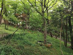 -观象山公园