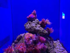 -青岛海底世界-水族馆