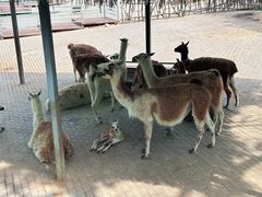-秦岭欢乐世界