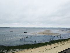 -北海金海湾红树林生态旅游区