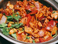 -禄婶鸡煲·打边炉