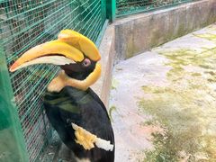 -海南热带野生动植物园