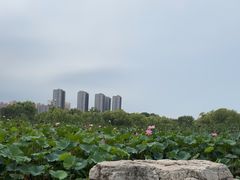 -太阳宫公园