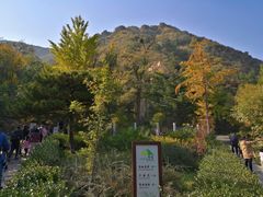 -北京鹫峰国家森林公园