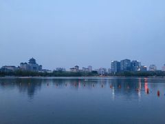 -莲花池公园