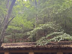 -本溪汤沟绿石谷森林公园