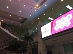 -五洲妇儿医院