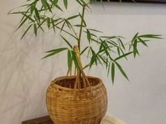 -煮雨小筑(斜塘老街店)