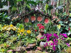 -中国科学院西双版纳热带植物园