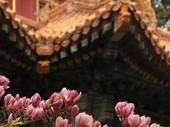 -故宫博物院(故宫)