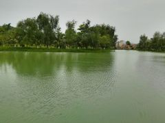 android_upload_pic-乳源丽宫国际温泉酒店