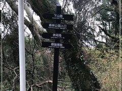 -苏州上方山国家森林公园