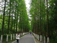 -昆山城市生态森林公园