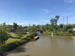 -上海长兴岛郊野公园