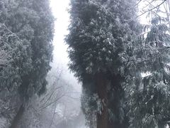 -太阳湾风景区