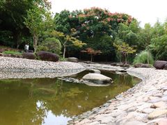 -花溪公园