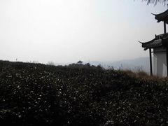 -浮山风景名胜区