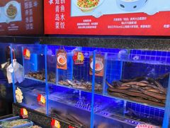 -船歌·鱼水饺青岛菜(石老人店)