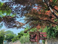 -烟台山景区