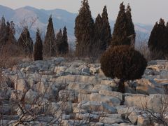 -原山国家森林公园