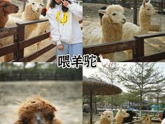 -盈香心动乐园