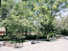 -石家庄市动物园