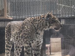 -深圳野生动物园